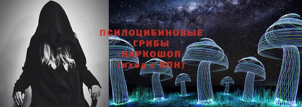 гидра Алзамай